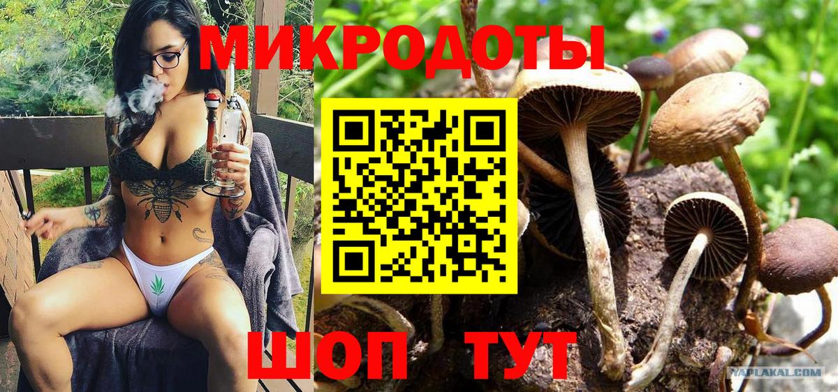 Псилоцибиновые грибы Cubensis  Вход с VPN  Егорьевск 